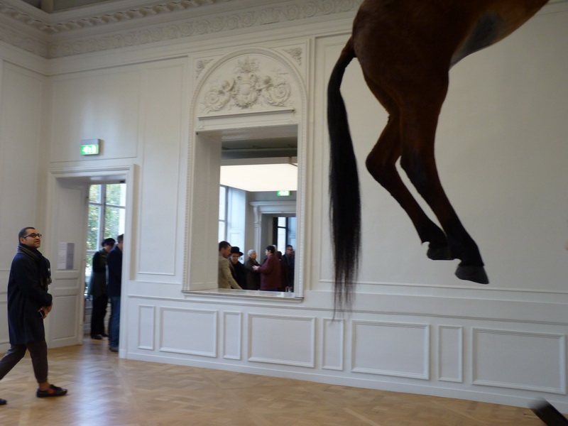 p1570747-3-maurizio-cattelan-sans-titre-300x170x80cm-2007-cheval-naturalise