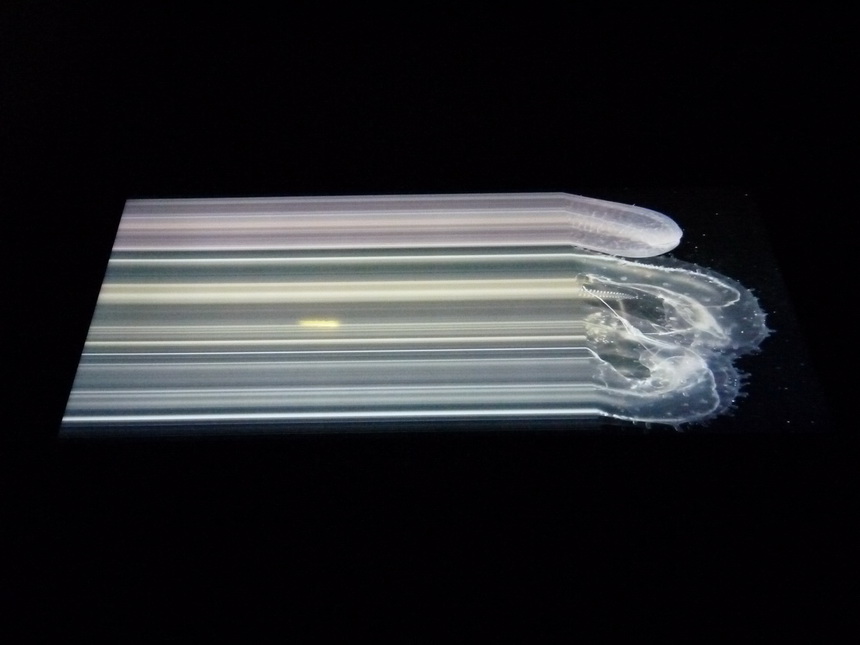 026-plancton-aux-origines-du-vivant-c-sardet-images-s-takatani-installation-r-sakamoto-musique