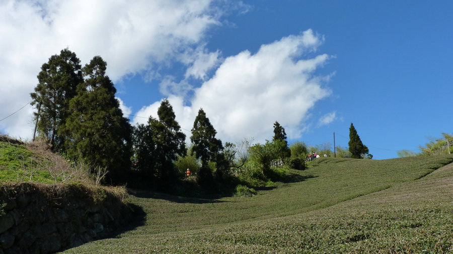 p1590307