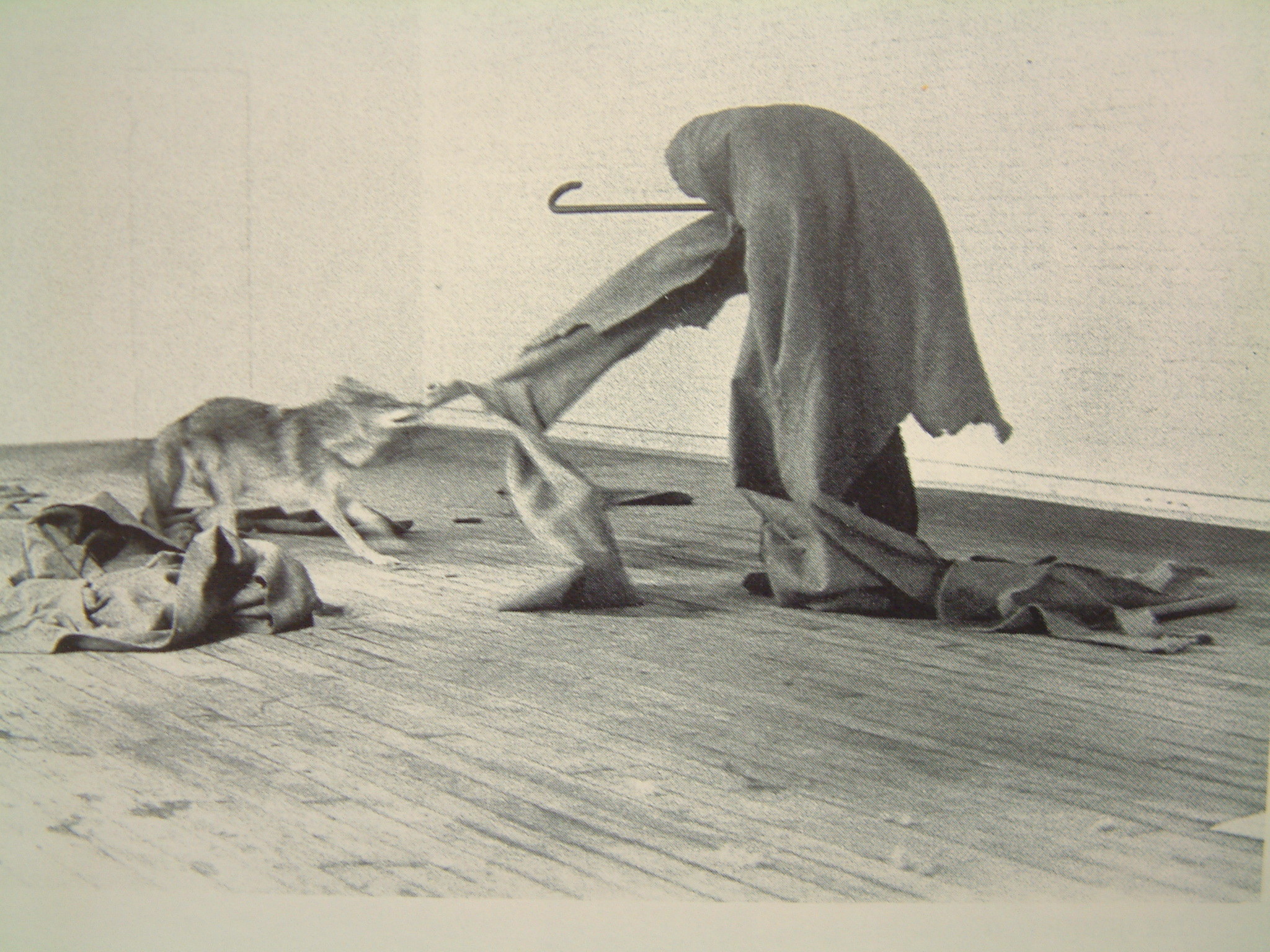 013 Beuys 74 我愛美國. 美國愛我