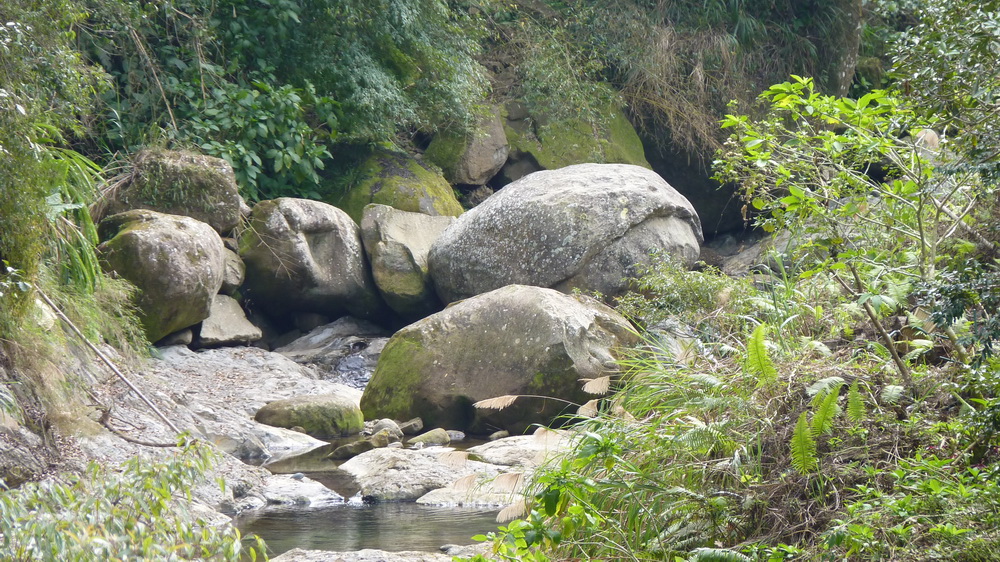 P1600296-2