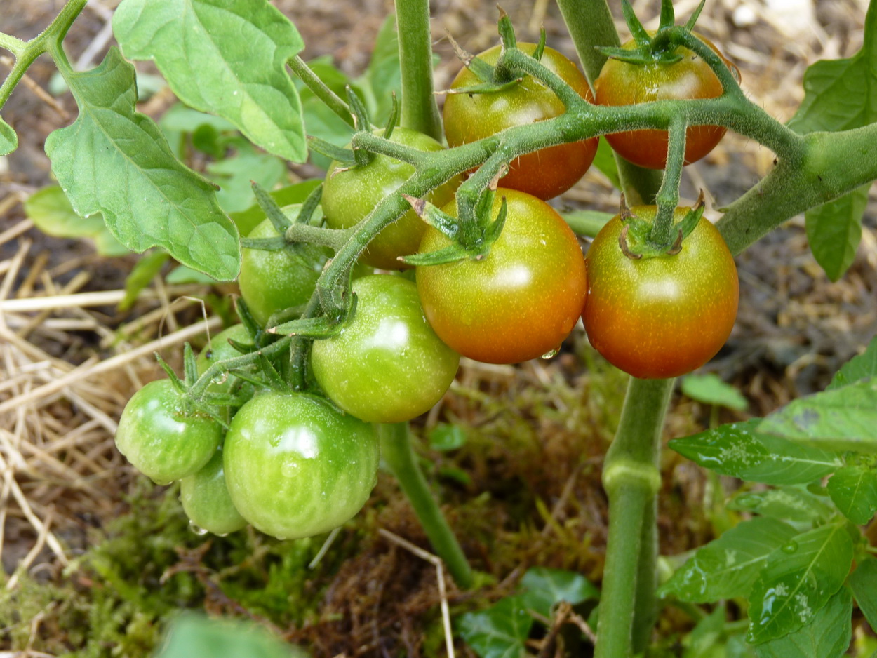 P1640446