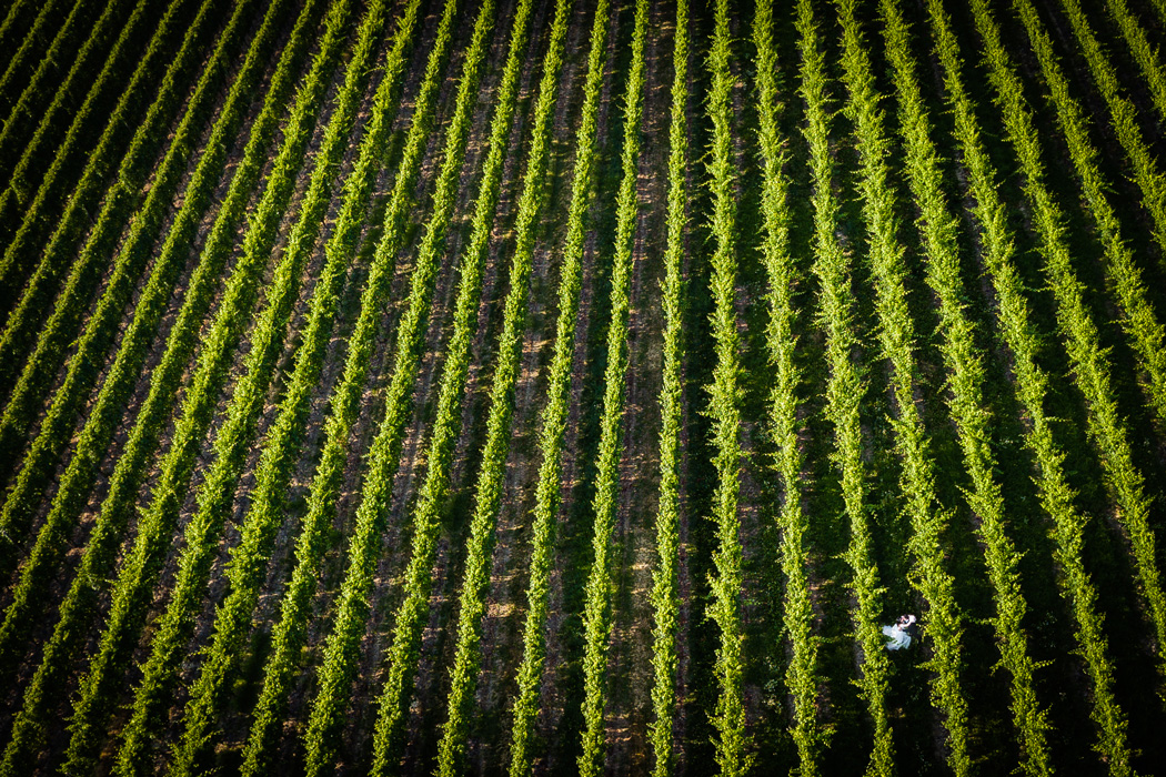 Riprese video drone matrimonio