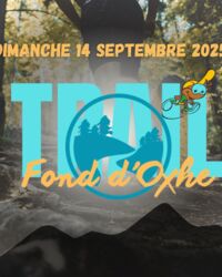 oxhe-68962e807bec8573564967.jpg