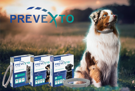 Prevexto® : un collier français APE de haute technologie signé Virbac