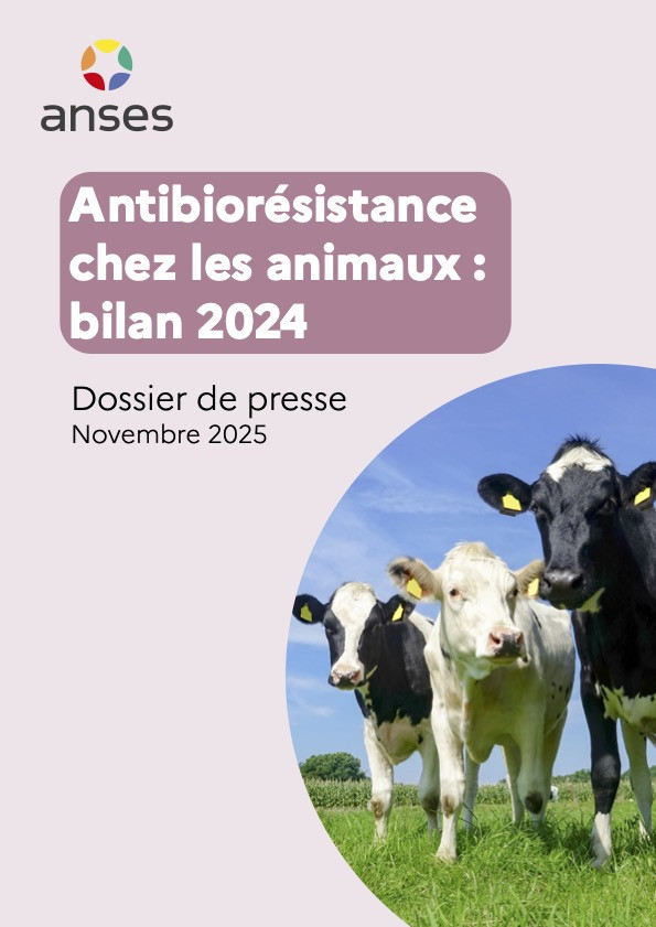 Bilan ANSES 2024 : Où en est l’antibiorésistance ?