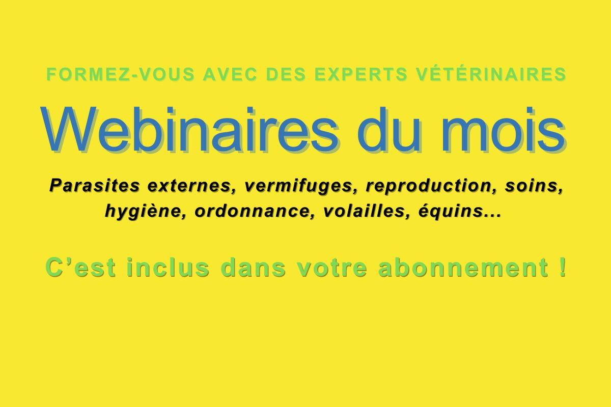 Webinaires formations de février