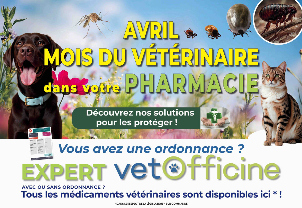 Avril c'est le mois du vétérinaire : mobilisez-vous !