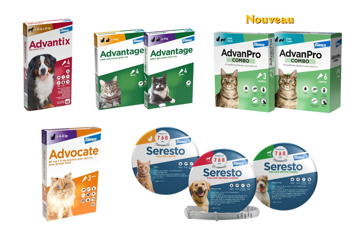 Elanco : nouveau packs et lancement AdvanPro Combo