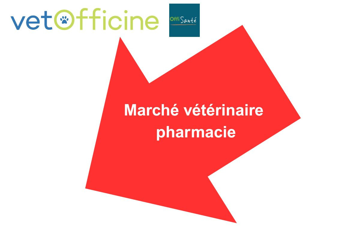 Marché vétérinaire en pharmacie juillet 2026 : léger recul – 2,7 %*