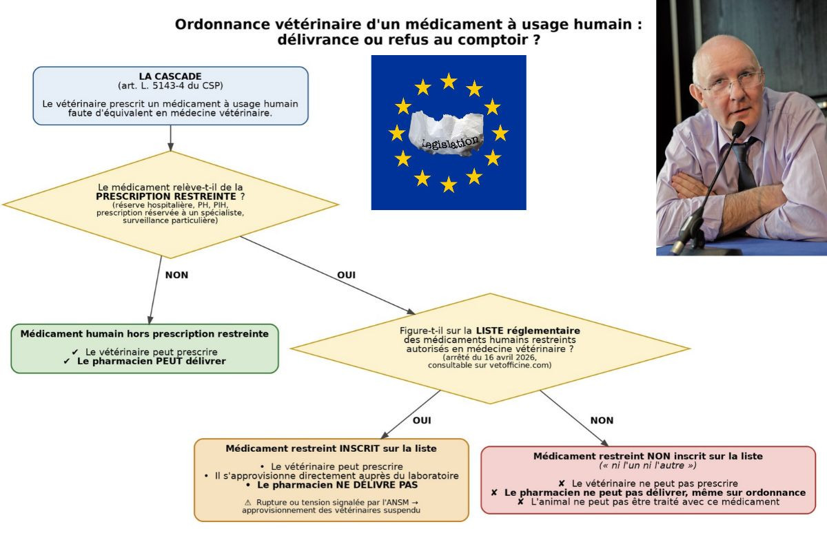 Ordonnance vétérinaire d'un médicaments à usage humain  : délivrance ou refus au comptoir ?