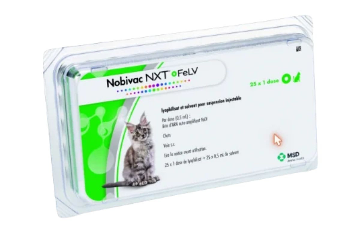 Vaccins : MSD Santé animale lance Nobivac NXT le premier vaccin à ARN pour le chat en Europe