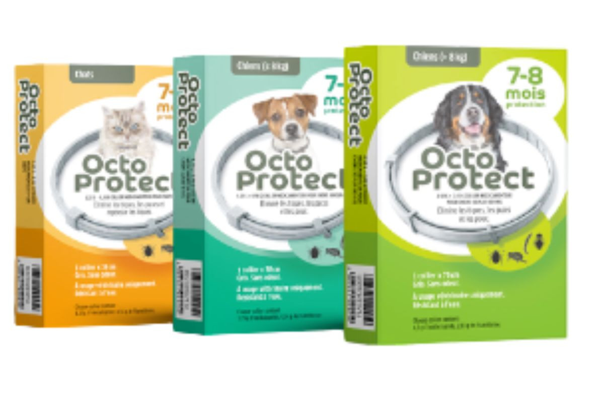 Octoprotect nouveau collier APE