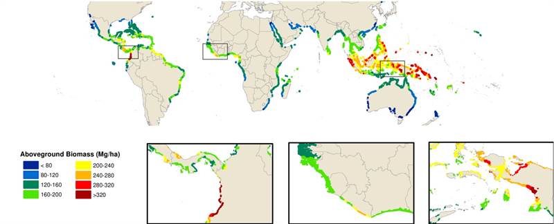 Image of the project