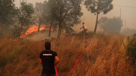 Incêndio em Beja devasta 300 hectares de floresta e pasto